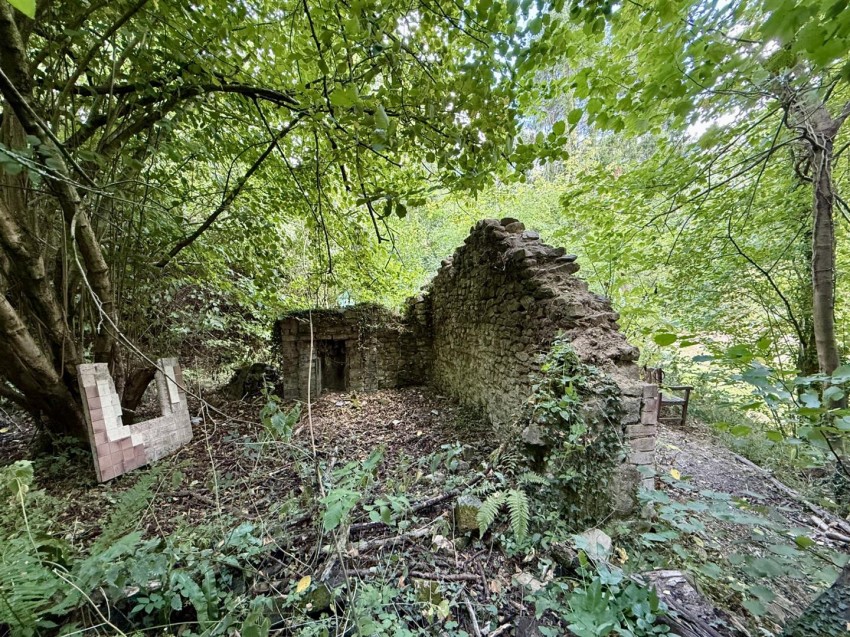 Images for The Slad, Longhope