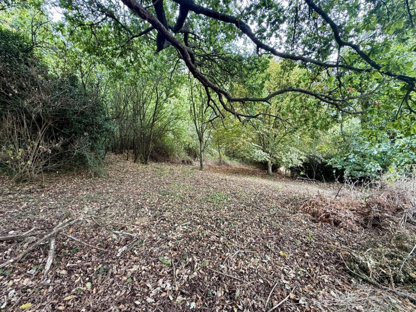 Images for Sterrys Lane, May Hill, Longhope