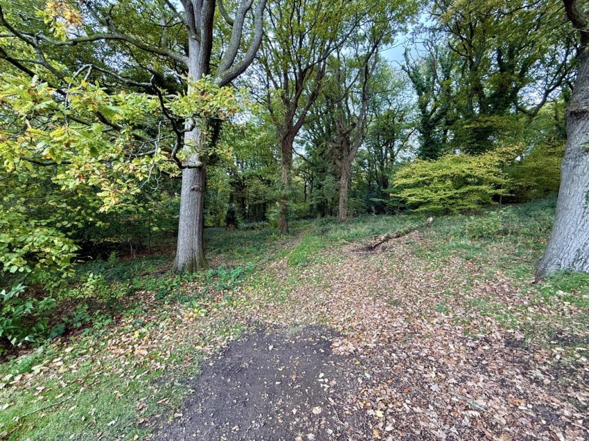 Images for Trinity Way, Cinderford