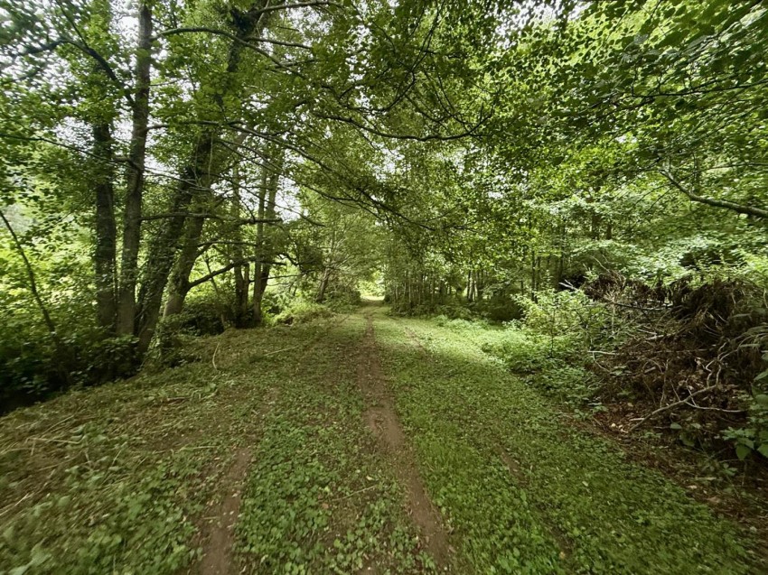 Images for Cherry Bank, Newent