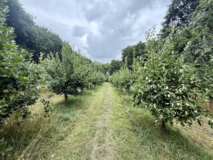 Images for Cherry Bank, Newent